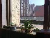 小区图