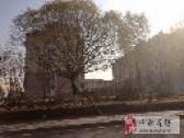 小区图