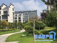实景图