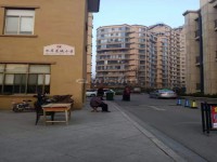 其它图