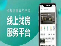 其它图
