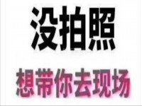 其它图