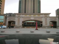 其它图