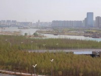 其它图
