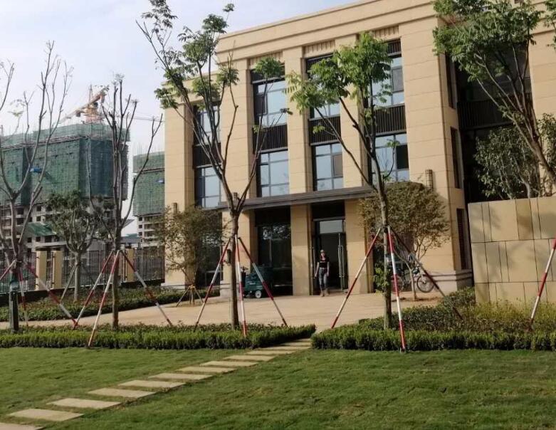 QQ截图20201008140407.jpg